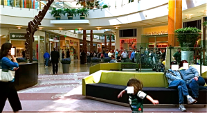 The IPad 2 line in the Millennium Mall Was the Length Of the Mall Times 3